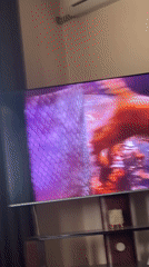 Yerevan residents capture TV display and Polaroid photography moments