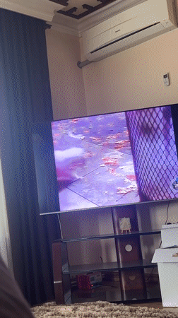 Yerevan residents capture TV display and Polaroid photography moments