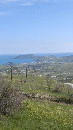 Spring wildflowers bloom on coastal hills near Feodosia