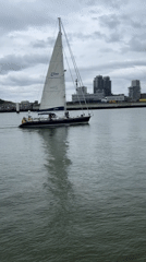 Sailboat, pilot boat, and catamaran traffic off Ostend harbor