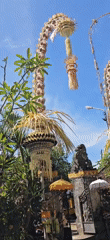 Traditional Penjor ceremonial decorations documented in Denpasar morning