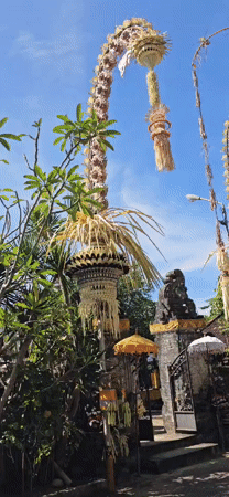 Traditional Penjor ceremonial decorations documented in Denpasar morning
