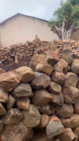The video begins with a close-up of a pile of large, rough-hewn stones. Behind the stones, a low wall constructed of smaller stones is visible, leading up to a light-colored building. To the right of the building, a large, bare tree with intricate branches stands prominently. The sky is overcast. The camera then pans right, revealing more of the stone wall and a glimpse of the building's roof. The scene transitions to a wider view of a grassy area with several simple structures, some with corrugated metal roofs. Two young boys are visible in the distance. One, wearing a red shirt and dark shorts, is walking away from the camera towards a cluster of buildings. The other boy, wearing a light-colored shirt and dark shorts, is running across the grassy field towards the right side of the frame. The environment appears to be a rural village with a mix of natural elements and basic housing.