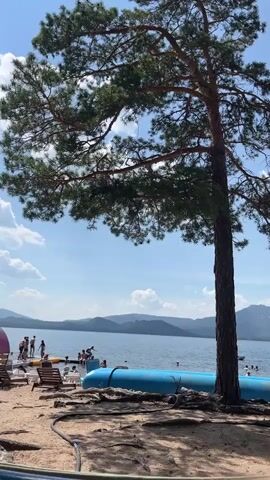 A daytime video shows a view of a lake with mountains in the distance under a partly cloudy blue sky. In the foreground, a tall pine tree with green needles stands to the right. The ground is sandy with some exposed roots. A blue inflatable tube lies on the sand. To the left, a wooden dock extends into the water, with several people standing on it. Some people are in the water, and there are lounge chairs on the beach.