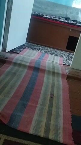 The video pans across a carpeted floor. The carpet has a floral pattern and is mostly red and beige, with some green accents. In the background, there is a wooden piece of furniture and what appears to be a bed with a red headboard. The lighting is dim.