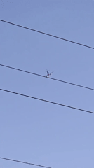 Aircraft spotted flying over Varna Bulgaria in clear skies