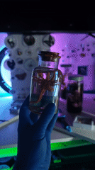 Microscopic specimens documented at Portugal research facility