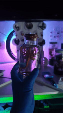 Microscopic specimens documented at Portugal research facility