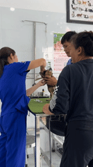 Morning rounds at a Nha Trang veterinary clinic