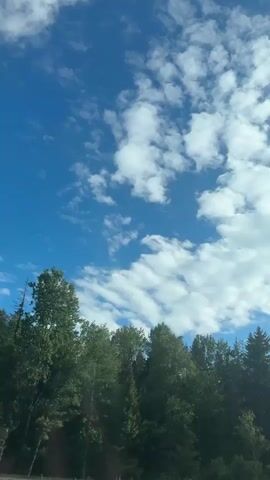 The video shows a time-lapse of clouds moving across a blue sky over a line of trees. The trees are a mix of deciduous and coniferous species, and appear to be in a forest or wooded area. The clouds are white and fluffy, and are moving from left to right across the frame. The sun is visible at times, casting shadows on the clouds and trees. The video is shot from a low angle, looking up at the sky.