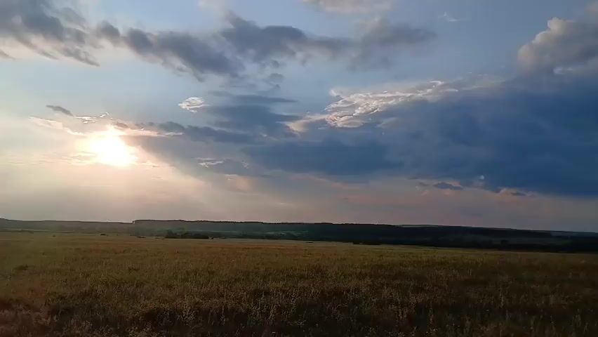 A wide drone shot over a vast, grassy field with a line of trees in the distance. The sky is filled with dramatic clouds. The drone then pans to reveal a herd of brown horses grazing peacefully in the field. Several foals are present among the adults. The sun is setting, casting a warm glow on the scene. The drone continues to pan across the field, showing more of the horses grazing.
