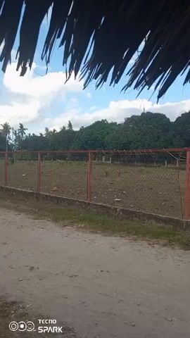 The video shows a fenced-in area with dry grass and dirt. There are trees in the background and a thatched-roof structure within the fenced area. The camera is looking through the leaves of a thatched roof structure, suggesting the viewer is inside or under a similar structure. The ground in the foreground is dirt and gravel. There is a chain-link fence with red metal posts surrounding the area. Some small animals, possibly chickens or birds, are visible near the fence. The sky is cloudy. The video appears to be taken on a bright, possibly sunny day.