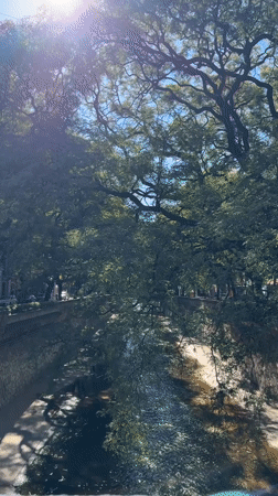 Tree-lined waterway observed in Cordoba, Argentina