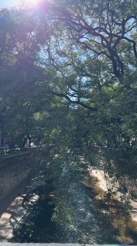 Tree-lined waterway observed in Cordoba, Argentina