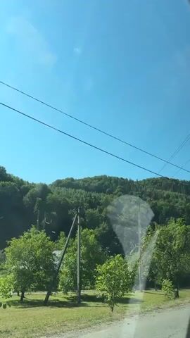 The video shows a landscape viewed from a moving vehicle, likely a car. The sky is clear and blue. There are several power lines overhead, crossing the frame. Below the power lines, a densely wooded hill or mountain dominates the background. In the middle ground, there are trees, some with lush green foliage, and a few houses with light-colored roofs. The road surface is visible in the foreground, appearing to be asphalt. The vegetation is green and appears to be healthy. The lighting suggests it is daytime, likely sunny. The camera movement indicates the viewpoint is from inside a vehicle moving along a road adjacent to the wooded area and houses.