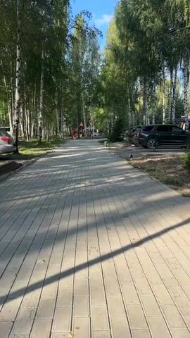 The video shows a paved pathway lined with trees, likely a park or a walkway in a residential area. The pathway is made of light-colored rectangular pavers and is illuminated by dappled sunlight filtering through the leaves of the tall, slender trees. Some of the trees appear to be birch trees, recognizable by their white bark. On the right side of the pathway, several dark-colored cars are parked. In the distance, there seems to be a playground area with some colorful structures. The overall atmosphere is peaceful and summery, suggesting an outdoor recreational space.