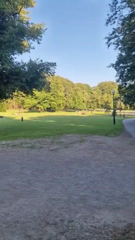 A video displays a park with a wide grassy field surrounded by trees. Several people are scattered throughout the park, some sitting on the grass and others walking. The sun is shining, casting shadows and creating a warm ambiance. A dirt path runs through the foreground of the video.