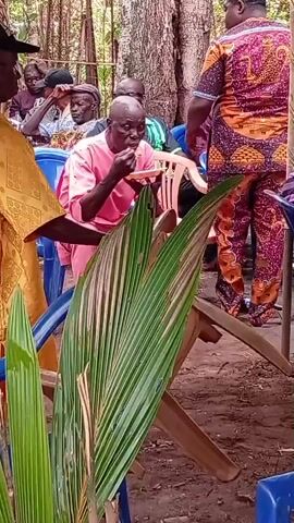 The video depicts an outdoor gathering of numerous people, predominantly adults, in what appears to be a social or celebratory event. The setting features bare earth ground, various plastic chairs (blue, green, and brown), and trees in the background, suggesting a natural or semi-rural environment in Umundugba, Nigeria.

Attendees are seen sitting, standing, conversing, and eating. Many individuals are dressed in colorful, patterned traditional Nigerian attire, while others wear more casual shirts and trousers. A man in a bright yellow shirt and matching trousers is frequently visible, moving through the crowd. Another man wears a distinctive orange and brown patterned outfit. A bald man in a pink shirt is shown eating, while a woman in a red top and yellow patterned skirt is actively serving food from large pots and containers placed on the ground. Plates of food, likely containing a staple like rice, are visible, and some individuals are holding bottled drinks.

The atmosphere appears relaxed and communal, with people engaged in conversation and enjoying the occasion. Palm fronds partially obstruct the view in the foreground during the initial frames, and a wooden pole wrapped in white striped material is also visible. The event takes place during the daytime under natural lighting. There is no discernible text displayed within the video.