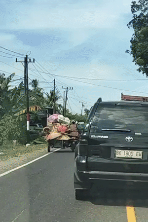 Cargo motorcycle and SUV share a rural Indonesian road