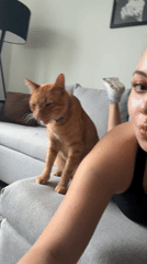 Woman and orange cat share quiet evening moments on couch