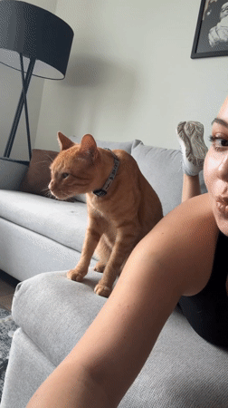 Woman and orange cat share quiet evening moments on couch