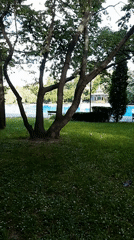 Morning walk captured in tree-lined Plovdiv park with pool