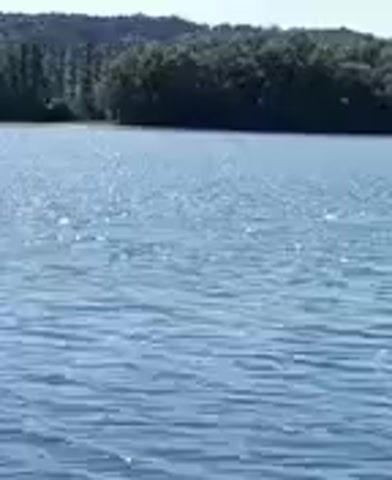 The video shows a body of water with ripples on the surface. In the background, there is a treeline and a clear sky. The camera appears to be moving slightly, possibly from a boat or a moving vehicle. The footage is grainy and appears to be from a low-resolution recording. There are no people or other objects clearly visible in the water or on the shore. The overall impression is one of a calm, natural environment.