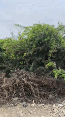 Rural Huanchaco farmland and roads documented in brief survey
