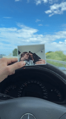 Driver holds couple's photo in Mercedes on Burgas highway