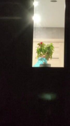 A potted plant with red flowers sits on a surface reflected in a mirror. The background of the reflection shows cabinets and a tiled wall. The mirror is positioned vertically. The scene is dark except for the illuminated reflection.