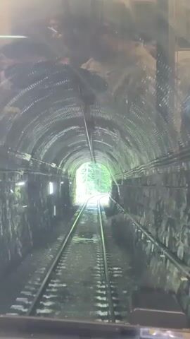 The video shows a view from inside a vehicle traveling through a stone-lined tunnel. Two sets of train tracks run parallel down the center of the tunnel. The tunnel walls are rough-hewn stone and appear damp. Metal conduits and lights are visible along the sides of the tunnel. The tunnel ceiling is arched and covered with metal sheeting. At the end of the tunnel, daylight and trees are visible, indicating the exit is near. The reflection of a person, likely the driver, is visible in the windshield of the vehicle. The person appears to be wearing glasses and a light-colored shirt. The vehicle is moving forward, as evidenced by the blur of the tunnel walls and the receding tracks. The overall lighting is dim within the tunnel, contrasting with the bright light at the tunnel's exit.