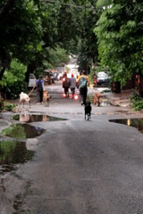 Gurgaon streets flood after heavy rain, daily life continues