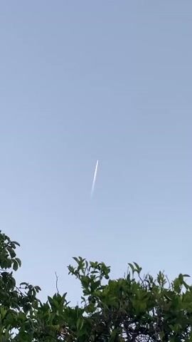 A vertical video shows a light blue sky with a contrail from an airplane streaking upwards from the lower center towards the top center of the frame. The contrail is thin and white, indicating the plane is likely at a high altitude. In the foreground, the dark green leaves of trees are visible, framing the bottom of the sky. The leaves are out of focus, creating a soft bokeh effect that contrasts with the sharp line of the contrail. The lighting appears to be soft, suggesting it might be early morning or late afternoon.