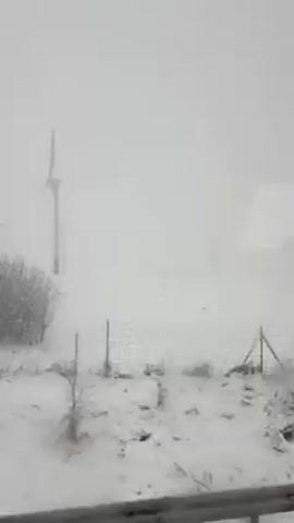 The video shows a snowy landscape with trees and bushes covered in snow. A wind turbine is visible in the distance. The sky is overcast and it appears to be snowing. The video seems to be taken from a moving vehicle.