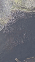 Bat cave and black sand coast in remote west Bali