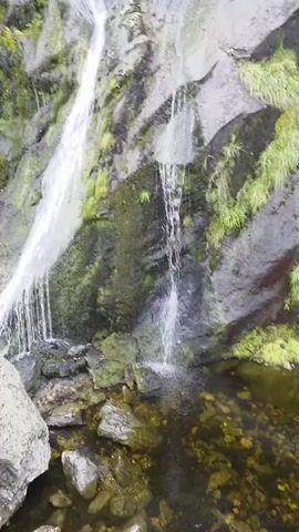 A vertical video shows a waterfall cascading down a rocky, moss-covered cliff. The water flows in multiple streams, some thin and delicate, others wider and more substantial, creating a shimmering effect against the dark rock. The rock face is uneven, with ledges and crevices that channel the water's descent. Patches of bright green moss cling to the rocks, adding a vibrant contrast to the grey stone and white water. The surrounding environment is implied to be natural, with the focus solely on the waterfall and its immediate surroundings. The video begins and ends with a static shot of the same scene.