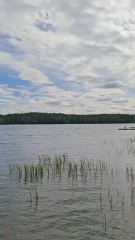 The video shows a view of a lake with a forested shoreline under a cloudy sky. A wooden dock is visible in the foreground with a fishing rod extending out over the water. A colorful kite is flying from the fishing rod, hovering above the lake. Water lilies are floating on the surface of the lake near the dock. The camera pans slightly across the water and shoreline.