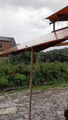 This media file depicts an outdoor scene during a rain shower. The primary subject is a weathered, reddish-brown umbrella or awning, supported by a rusty metal pole, which is catching the rain. Water is seen dripping from its edges, creating streaks and small droplets.

The setting appears to be a backyard or garden area. In the foreground, there is a paved patio made of irregularly shaped, flat stones. Behind the umbrella, lush green vegetation, including bushes and some flowering plants with red blossoms, dominates the midground.

In the background, a two-story house made of red brick with a dark gray roof is visible. The house has white-framed windows. Further in the distance, a dark wooden fence and trees suggest a rural or semi-rural location, consistent with the provided location context of Medvedyovka, Russia.

The weather is clearly rainy, indicated by the falling water and the overcast, gray sky. The time of day is indeterminate due to the cloudy conditions, but it appears to be daytime.

There is no visible text in the media file. The overall mood is one of a quiet, perhaps slightly melancholic, rainy day in a domestic setting. The focus is on the natural elements of rain and greenery, with the man-made structures providing a backdrop.