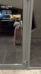 Two women spotted walking through multiple Khimki locations