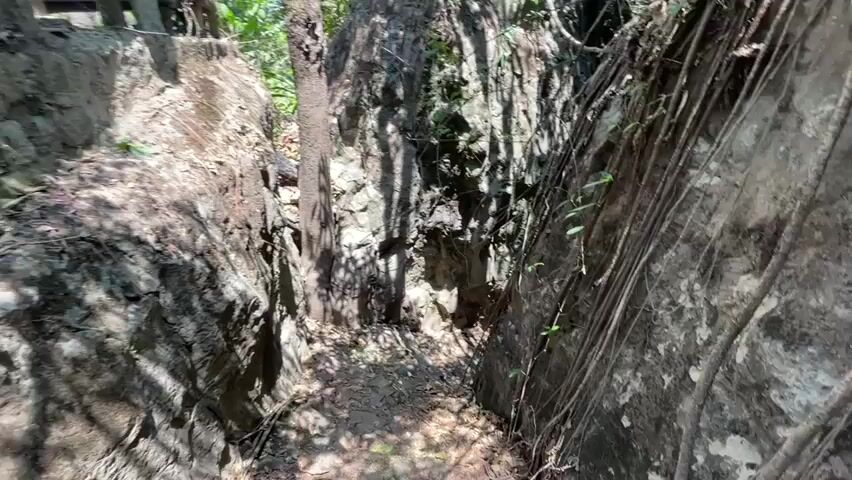 The camera descends between two rock faces covered with foliage. The passageway slopes downward, leading toward a shaded, rocky area covered with leaves. The area is filled with trees.