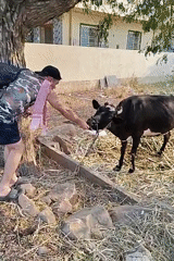 Rural farming life documented in Kammavaripalli village, India