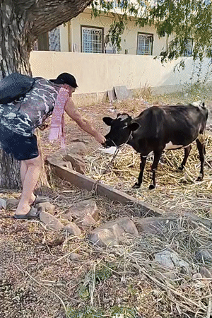 Rural farming life documented in Kammavaripalli village, India