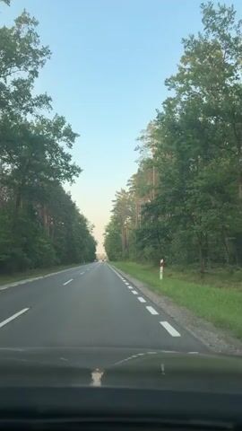 The video shows a first-person view from a vehicle traveling on a paved road through a forest. The road has white lane markings. Tall trees line both sides of the road, and the sky is clear and light blue. The sun appears to be low in the sky, casting long shadows. No people or other vehicles are visible in the immediate vicinity.