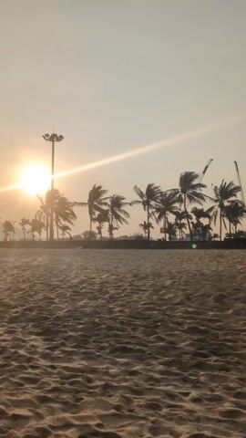 A low-angle, wide shot shows an empty beach at sunset. The sand in the foreground is smooth with footprints and shadows cast by the sun, which is visible on the left side of the frame. Silhouetted palm trees line the edge of the beach against the sun's glare, with a tall light post and some construction cranes also visible among the trees. The sky is a hazy orange-yellow, suggesting either a sunset or a very dusty atmosphere. The scene is still, capturing a moment of serene desolation.