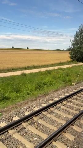 A low-angle, side-view perspective from a moving train shows a rural landscape under a blue sky with scattered clouds. In the foreground are train tracks with ballast and ties. To the left of the tracks, a field of yellow grain is visible, bordered by a grassy embankment and trees. Power lines stretch across the sky. A white post with a square top is situated on the right side of the grassy area. The camera pans slowly to the right, revealing more of the grassy embankment, trees, and the yellow field.