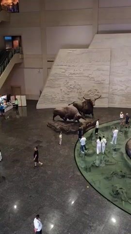 The video pans across a large, open atrium with high ceilings. The floor is dark and reflective. In the center, a circular, shallow pool with green water is surrounded by a clear glass barrier. Several large, realistic statues of prehistoric animals are displayed around the pool. In the first part of the video, two bull statues are visible. The video then pans to show a group of three mammoth statues, including a calf. In the background, a large, textured wall features relief carvings. Several people are scattered throughout the atrium, observing the exhibits. Some are taking pictures with their phones. One person is walking across the open floor, and a child is standing near the bull statues. Another person is walking up a visible staircase in the background.