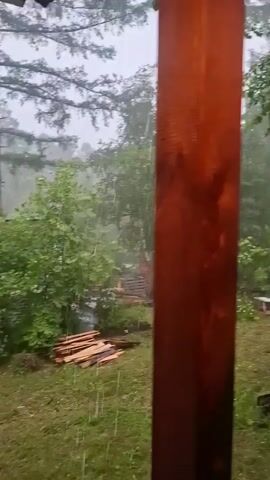 This video captures a rainy day in a wooded area. The scene is viewed through a rustic wooden post, which dominates the foreground and is reddish-brown in color. Beyond the post, the environment is lush and green, filled with trees and dense foliage. The weather is clearly stormy, with visible rainfall and a hazy, diffused light suggesting overcast skies, possibly late afternoon or early evening.

In the middle ground, there's an open grassy area with several objects scattered around. To the left, a pile of wooden planks is stacked, indicating some sort of construction or woodworking activity. Further back and to the right of the planks, there's a small, light-colored structure, possibly a birdhouse or a small shed. In the foreground on the right, a dark, rectangular object that looks like a fire pit or grill is partially visible.

The trees are predominantly deciduous, with many leaves still on them, though some leaves on a tree in the middle right are a yellow-green hue, suggesting the possibility of early autumn or a specific type of tree. The overall atmosphere is one of a secluded, natural setting experiencing a downpour. The rain creates a dynamic element, with streaks visible against the greenery and a sense of a damp, fresh environment. There are no people visible in the video. The location is identified as Dachnaya, Russia, which is consistent with the type of wooded, rural scenery depicted. The emotional tone conveyed is one of peaceful solitude, perhaps enhanced by the sound of the rain.