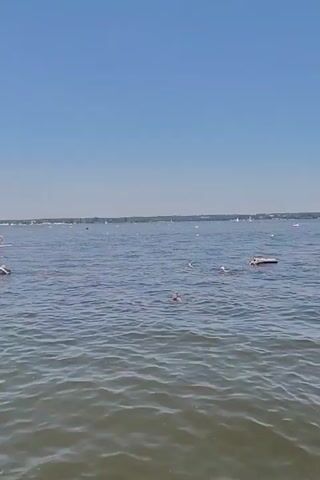 A wide shot shows a body of water under a clear blue sky. Several small white objects, possibly buoys or markers, are scattered across the water. In the middle distance, a few people are swimming. One person is visible in the foreground, partially submerged, their head and shoulders above the water. Further out, another person appears to be swimming. A rectangular object, possibly a small raft or cooler, floats on the surface. In the far distance, a hazy shoreline with trees and buildings is visible. The water is calm, with small ripples on the surface.