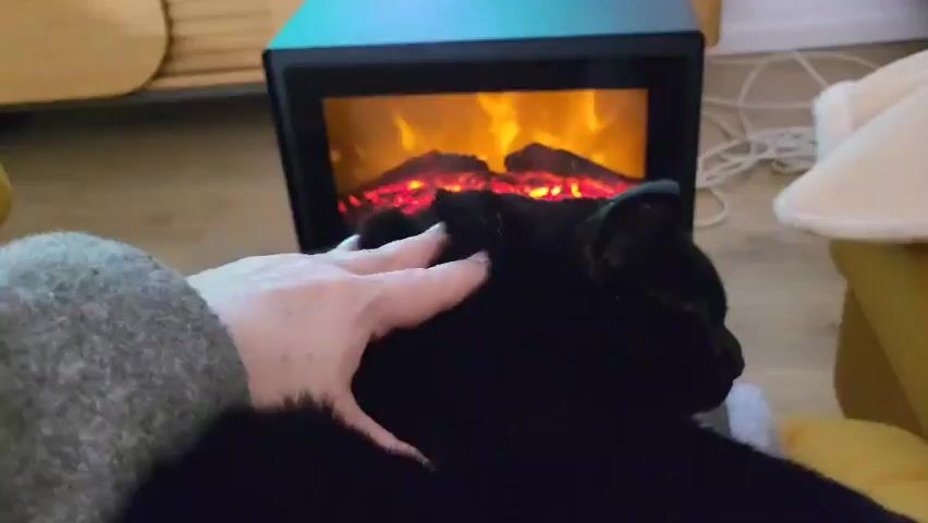 A person is petting a black cat. The cat is sitting in the person's lap, facing away from the camera. The person's hand is moving back and forth, stroking the cat's neck. Behind the person and the cat, there is a small electric fireplace with simulated flames. The fireplace is black with a teal accent on top. In the background, there is a wooden cabinet and a fluffy white blanket. The scene takes place indoors.