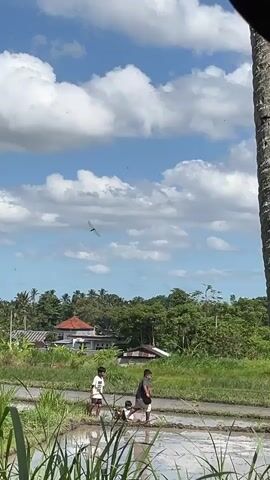 The video shows a rural scene with three boys in a muddy rice paddy under a partly cloudy blue sky. They appear to be playing or searching in the mud and water. Two of the boys are walking, one is kneeling or sitting. Behind them is a lush green landscape with trees and a few houses. A tall palm tree is on the right side of the frame.
